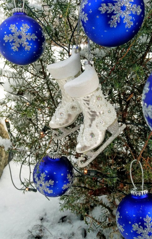 IMG 20181224 110748 Medium 2